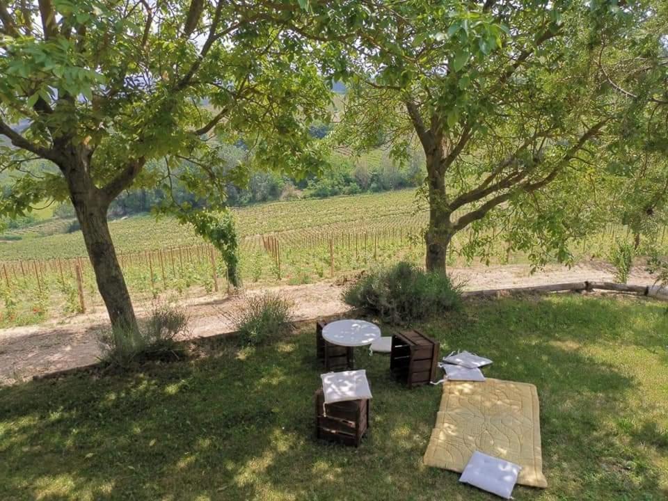 Cascina Valtignosa Camere Con Vigna Cassine Exterior foto