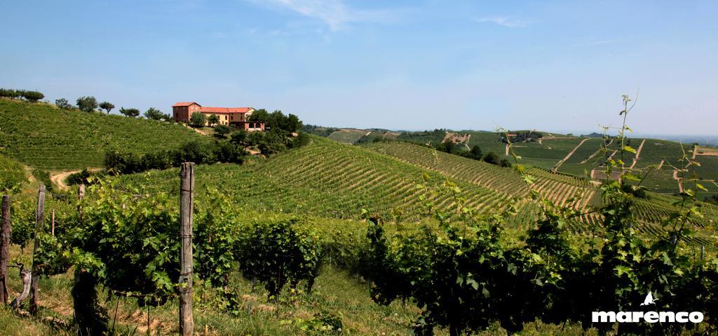 Cascina Valtignosa Camere Con Vigna Cassine Exterior foto